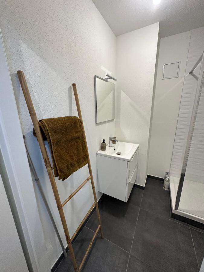 Appartement Atypique Proche Gare/ Dans L'Hyper-Centre Spacieux Pour 6P Au Coeur De Mulhouse Eksteriør bilde