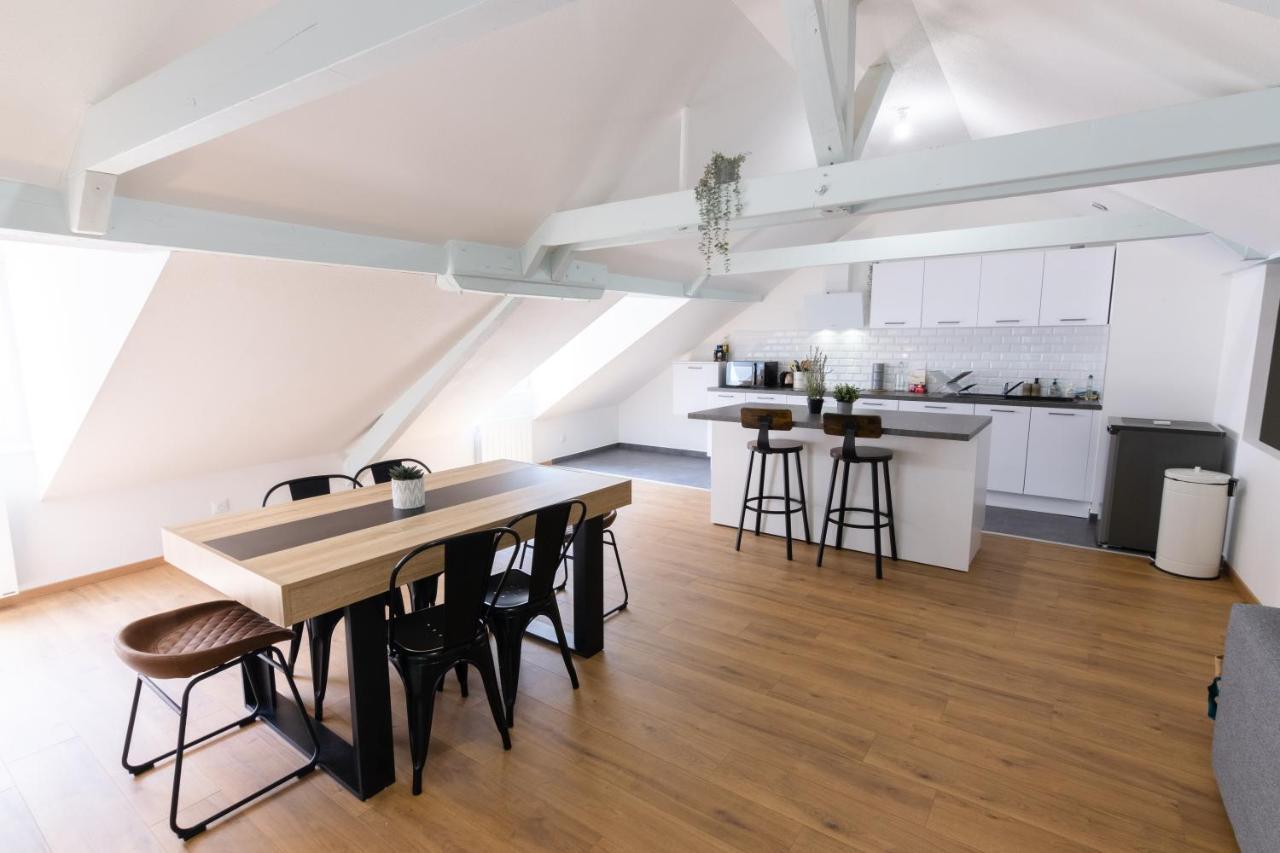 Appartement Atypique Proche Gare/ Dans L'Hyper-Centre Spacieux Pour 6P Au Coeur De Mulhouse Eksteriør bilde